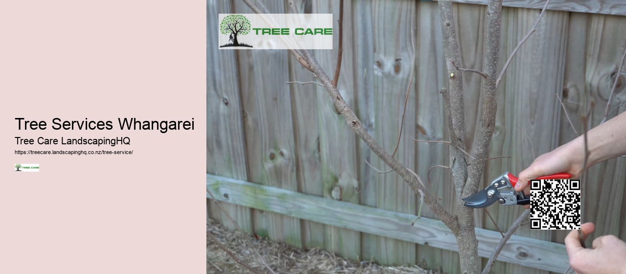 Tree Services North Shore Auckland