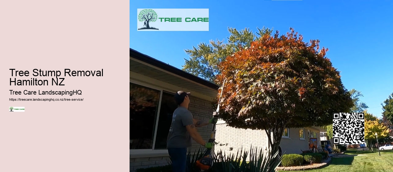 Arborist Tree Service Near Me