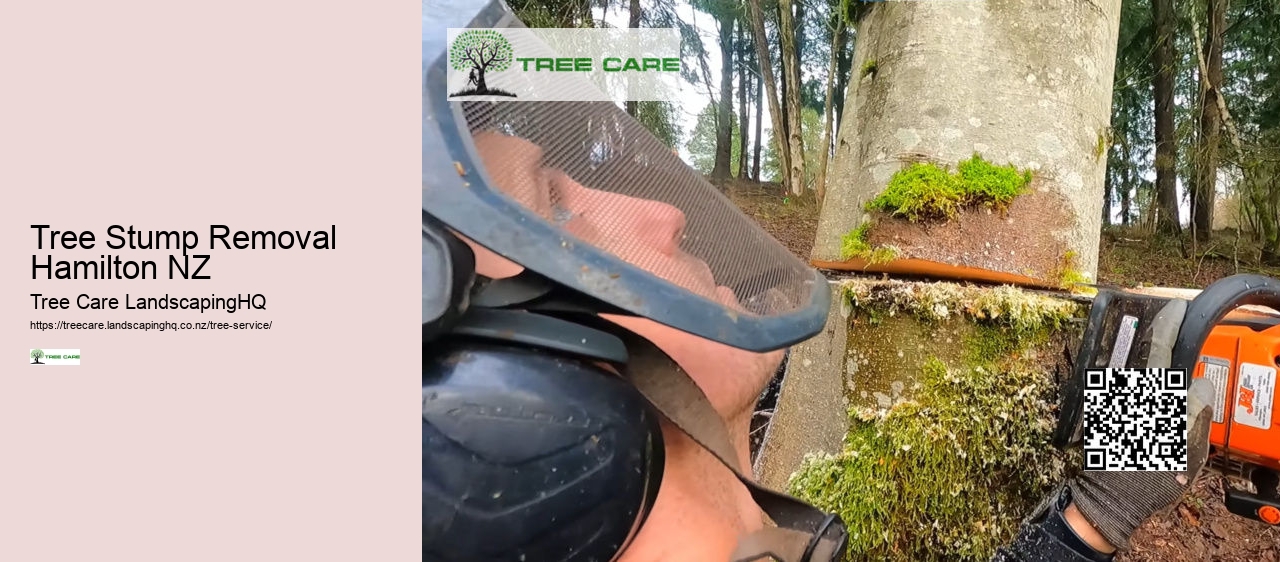 Stump Grinding Nelson NZ