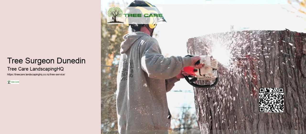 Tree Trimming And Pruning NZ