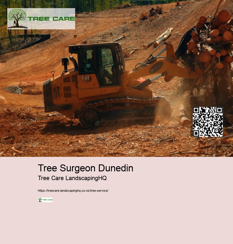 Tree Surgeon Dunedin