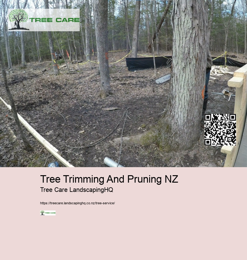 Tree Trimming And Pruning NZ