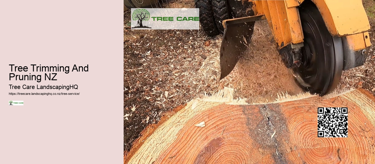 Arborist Cost NZ