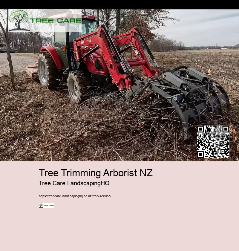 Tree Trimming Arborist NZ