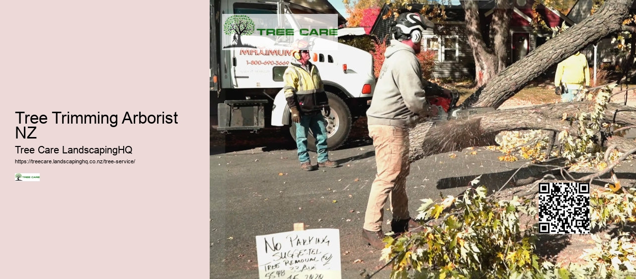 Arborist North Shore
