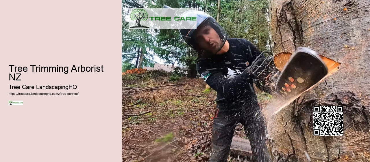 Best Arborist Near Me