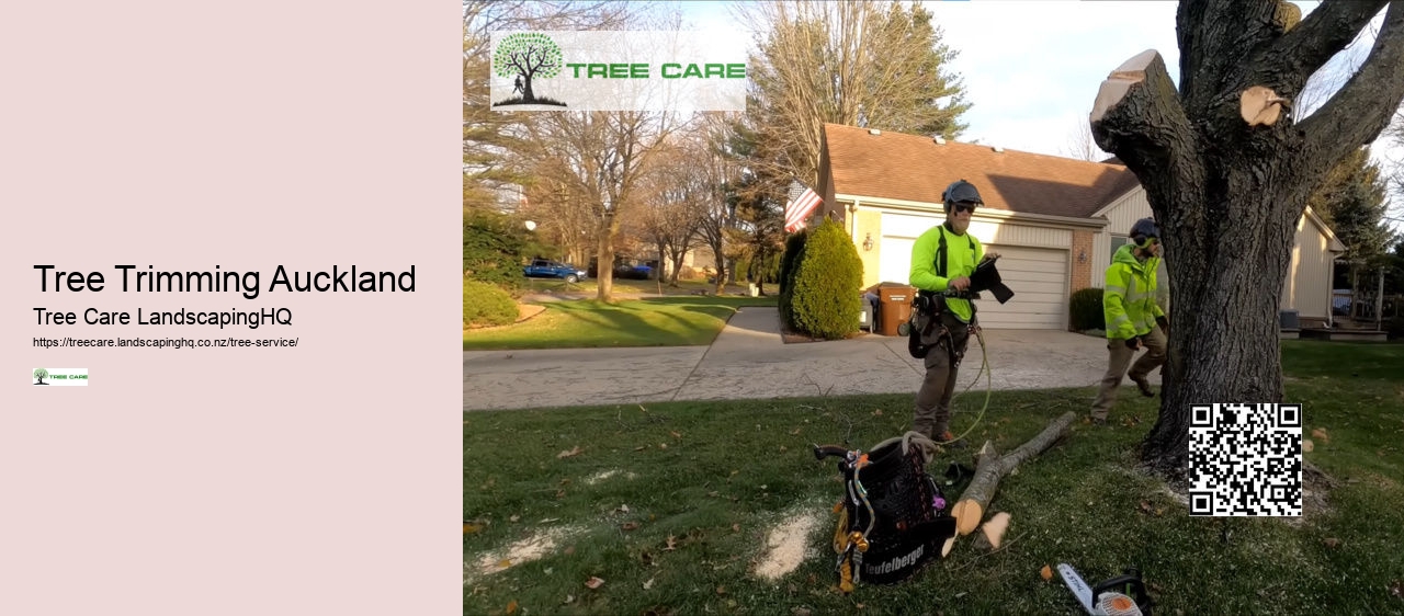 Consulting Arborist Auckland NZ