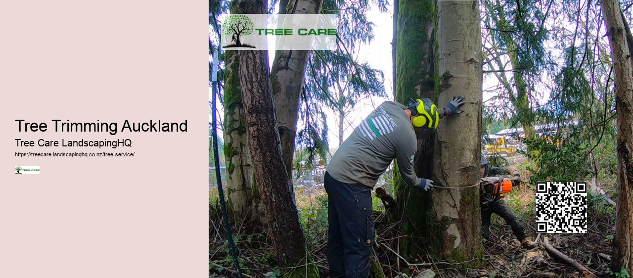 Stump Grinders NZ