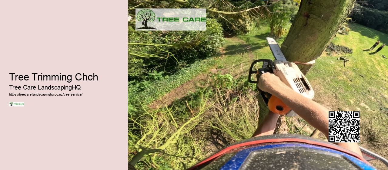 Arborist Tree Surgeon Near Me