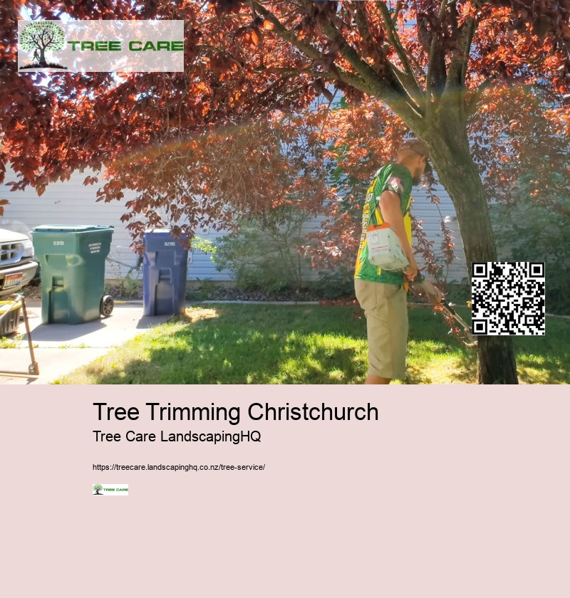 Tree Trimming Christchurch