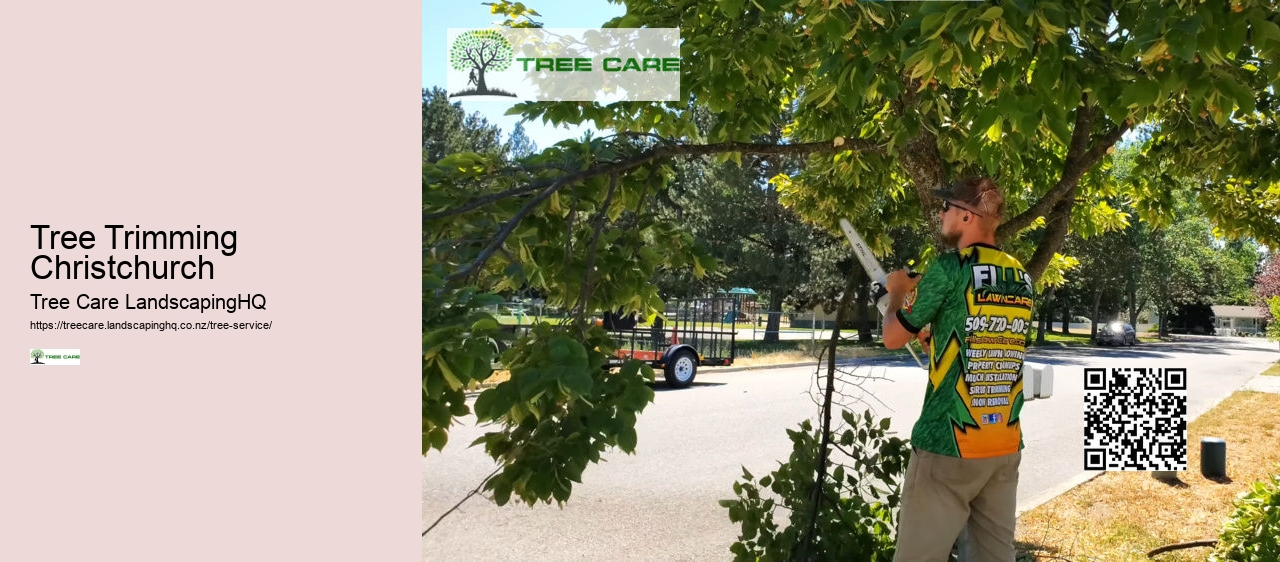 Tree Trimming And Shaping NZ