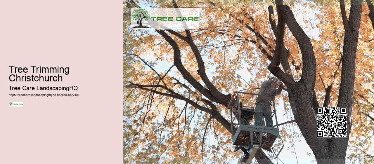 Arborist Vs Tree Surgeon