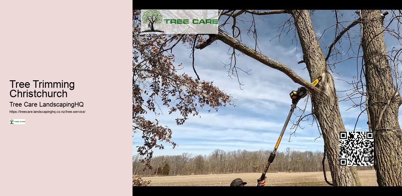 Arborists Nelson NZ