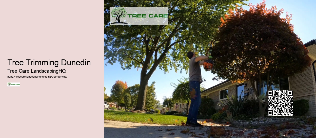 Tree Services West Auckland