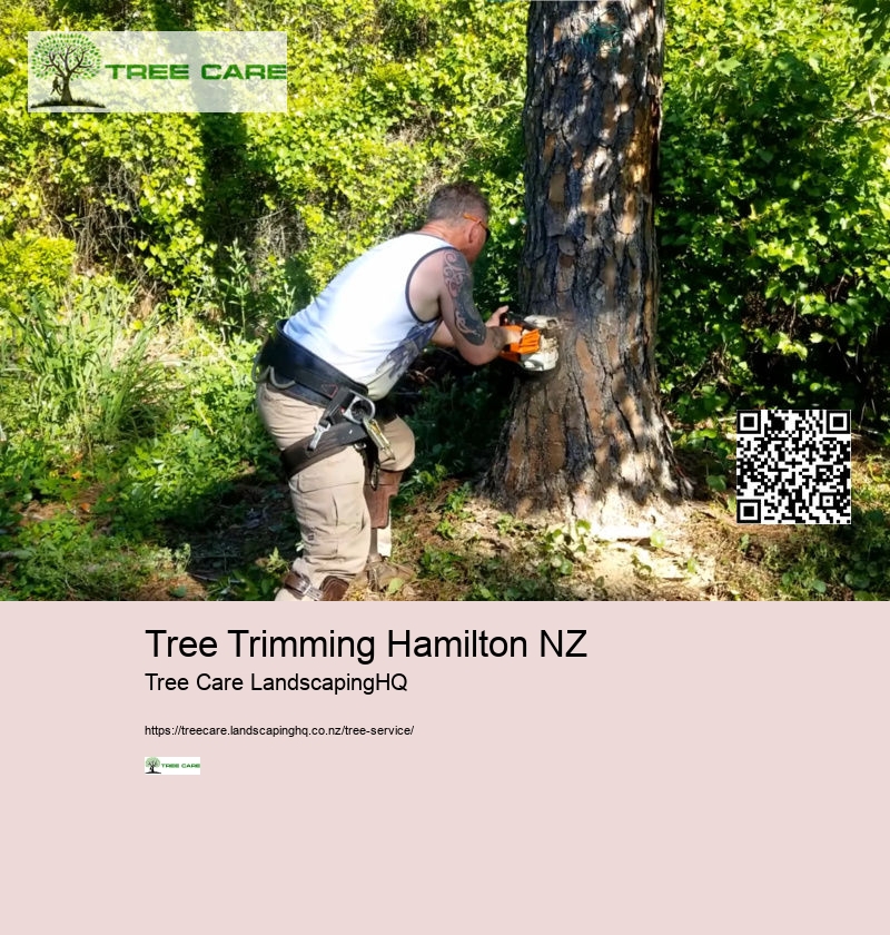 Tree Trimming Hamilton NZ