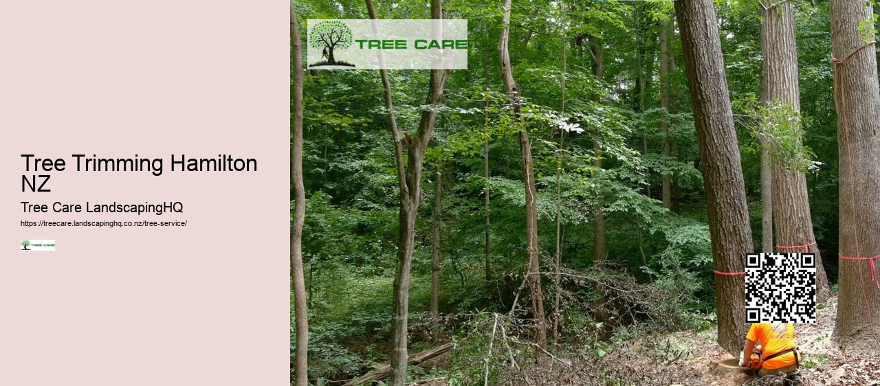Tree Service NZ