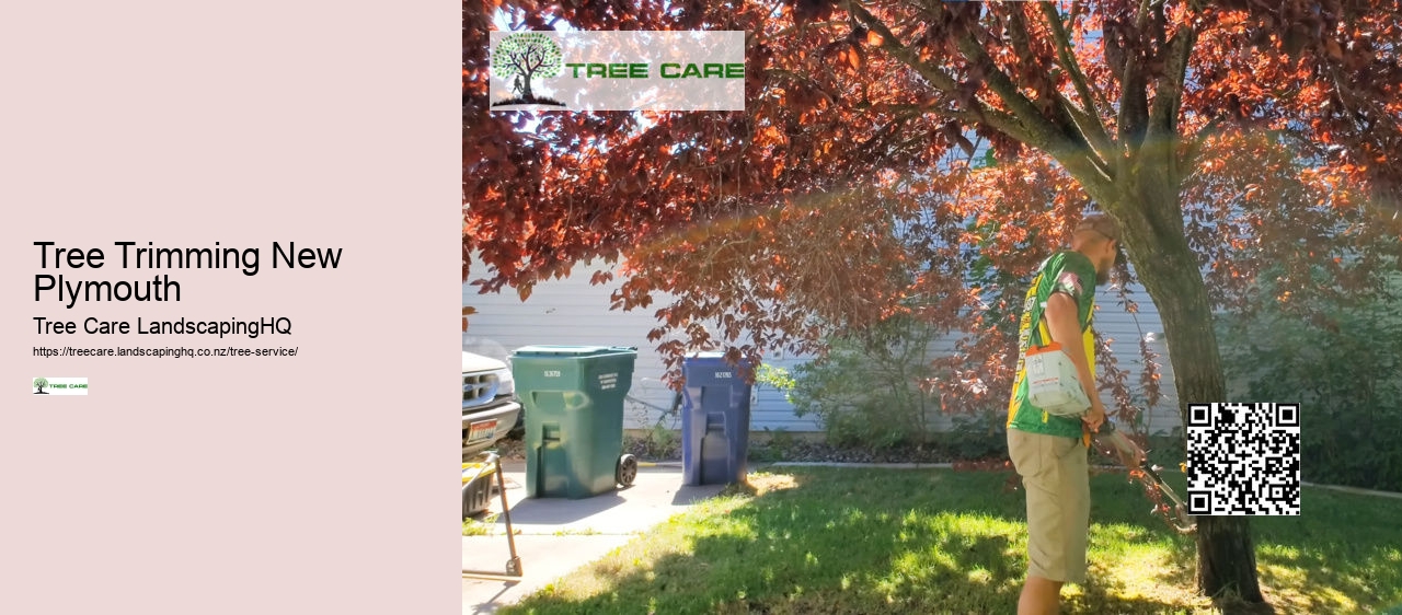 Tree Removal Upper Hutt