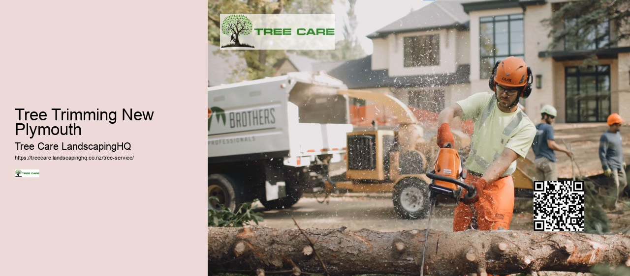 Arborist Auckland North Shore