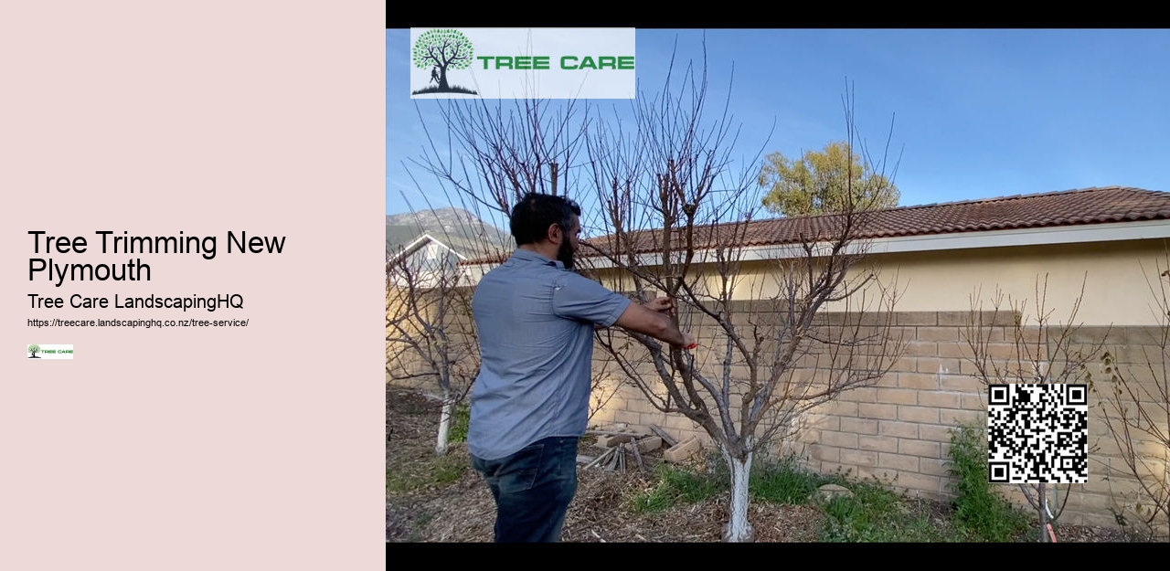 Magnolia Tree Care NZ