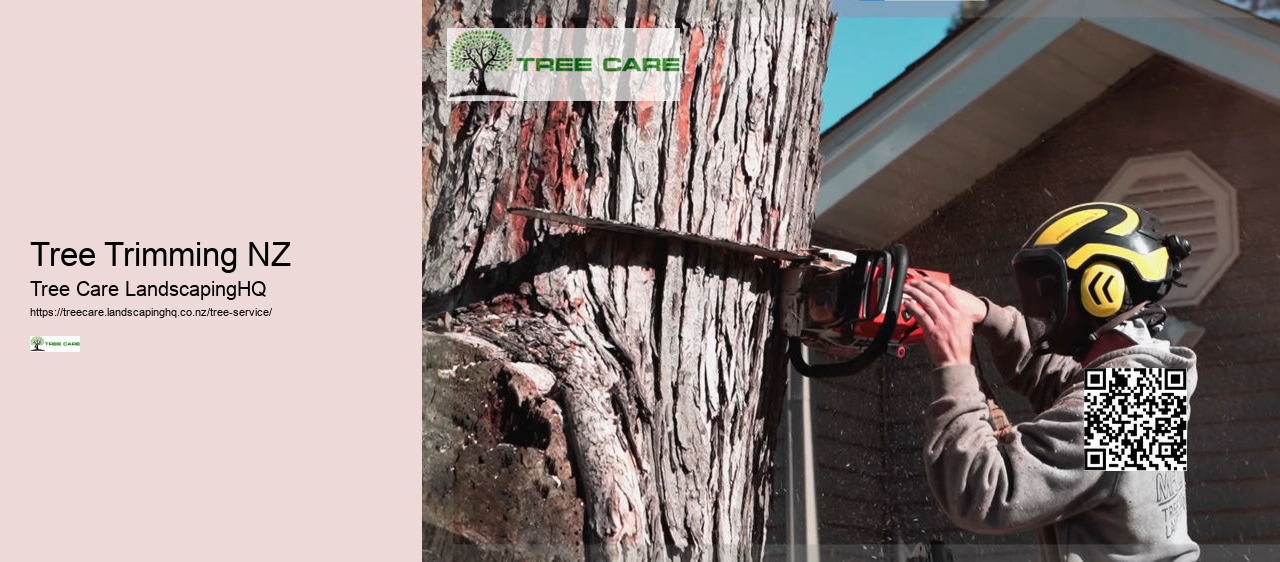 Tree Removal Napier