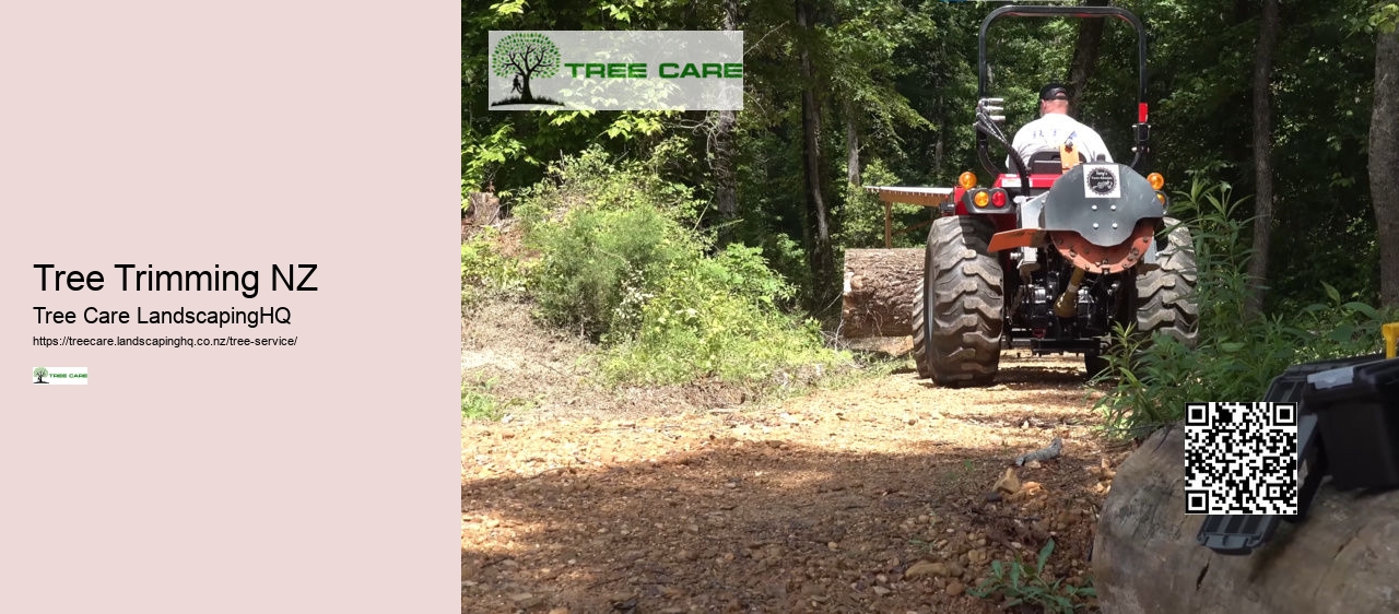 Arborist Lower Hutt