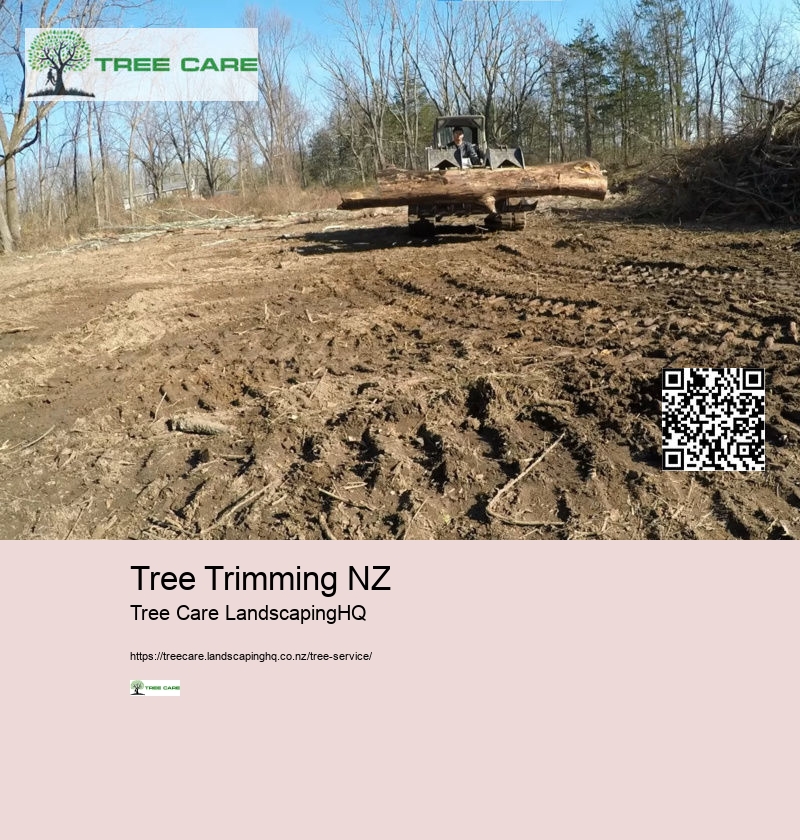 Tree Trimming NZ