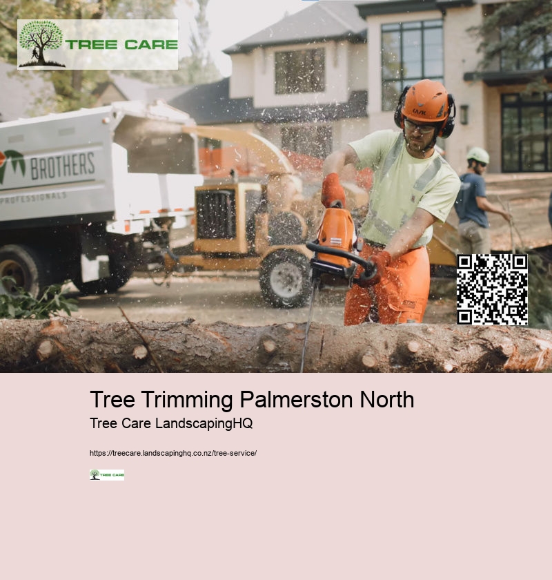 Tree Trimming Palmerston North