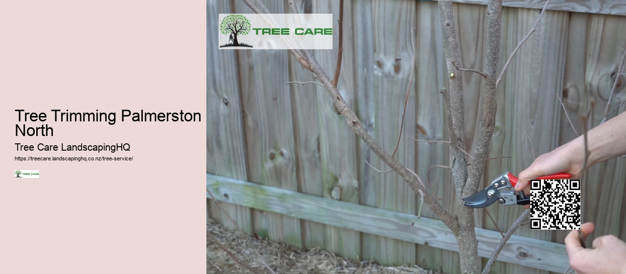 Banana Tree NZ Care