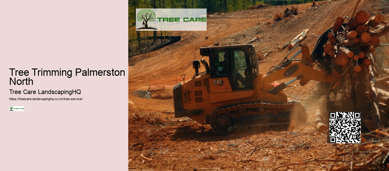 Arborist Hamilton NZ