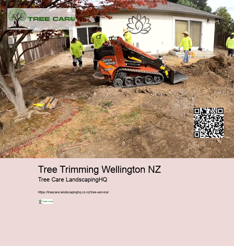 Tree Trimming Wellington NZ