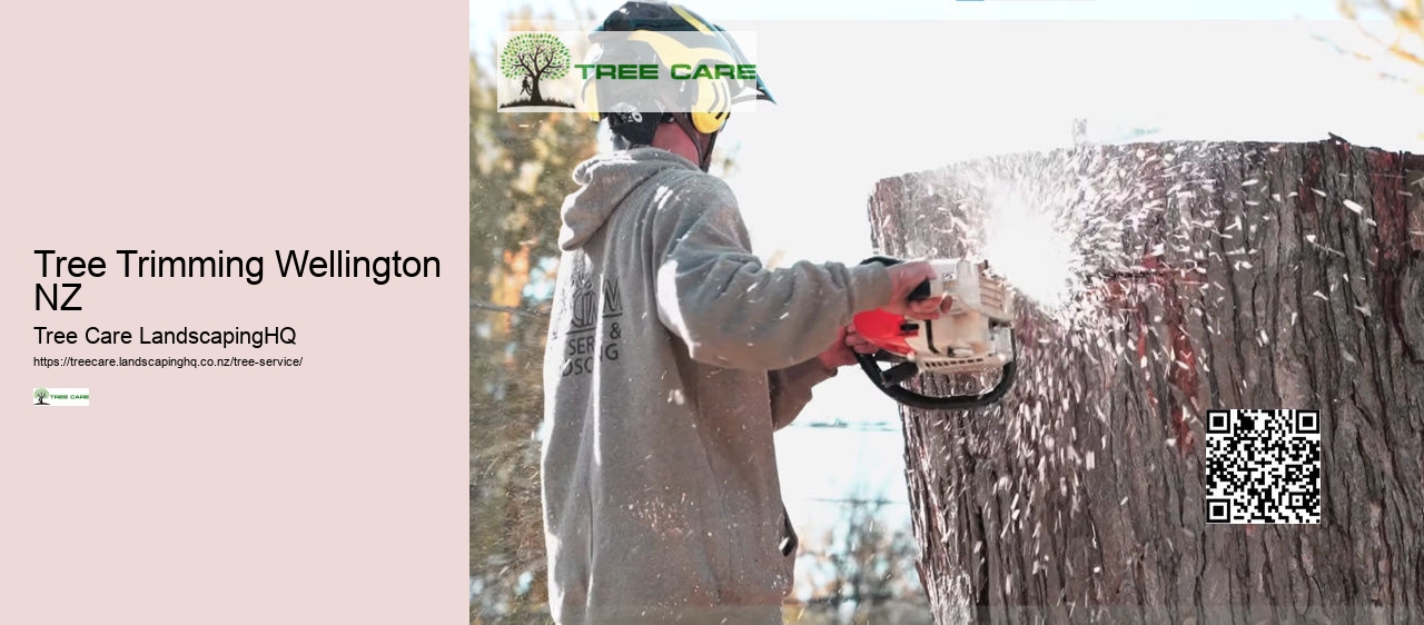 Arborist Auckland