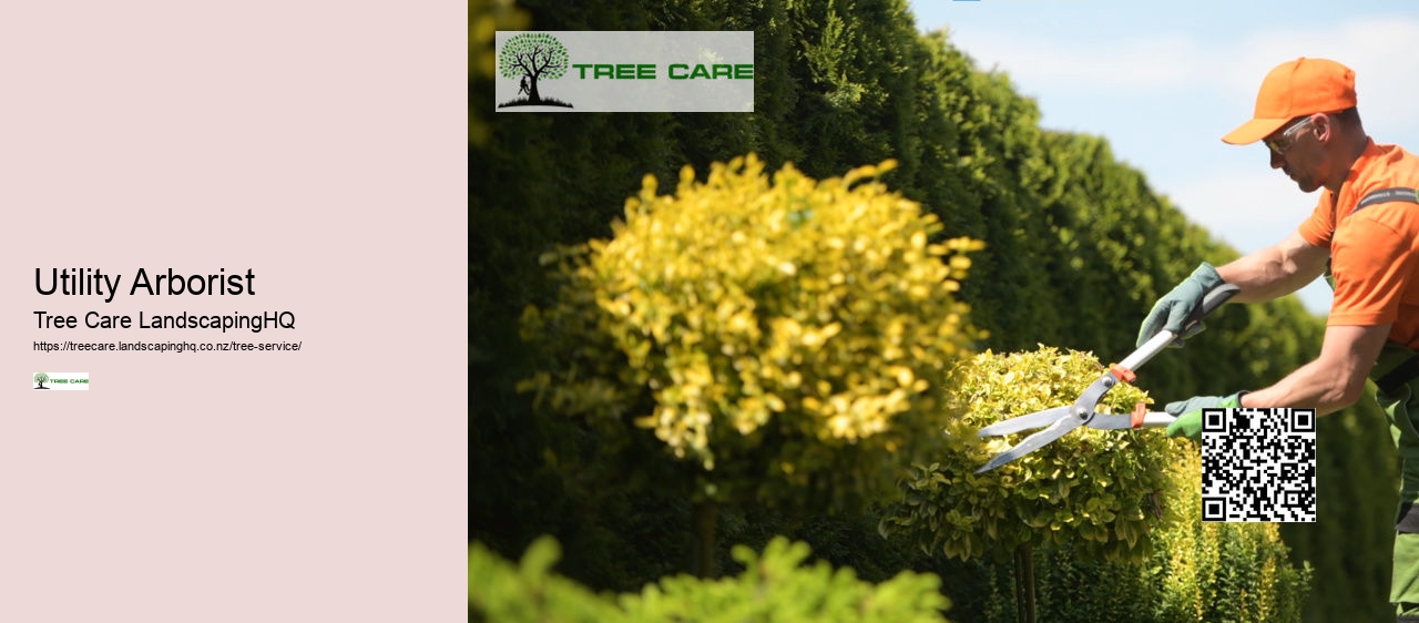 Tree Arborist Tauranga